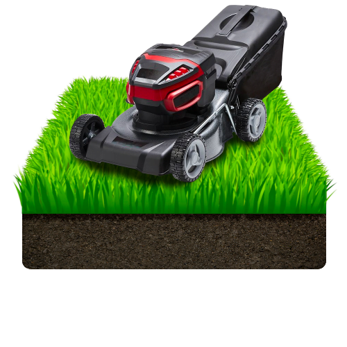 Turf with lawn mower